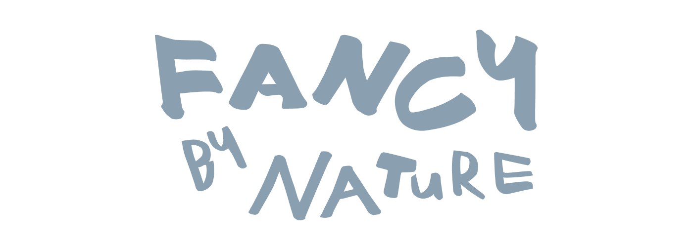 Logo von Fancy, Kunde von PlusPublish